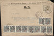 103217 / 15 - Philatelie / Tschechoslowakei 1918-39 / Vorl�ufer und Mitl�ufer 1918-19