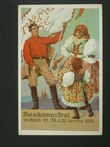 109662 / 0 - Picture Postcards / Theme / Sokol