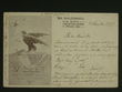 109749 / 0 - Picture Postcards / Theme / Sokol