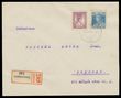 114400 / 8 - Philatelie / Tschechoslowakei 1918-39 / Vorl�ufer und Mitl�ufer 1918-19