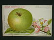 114532 / 0 - Picture Postcards / Theme / Pets, Countryside, Outdoor