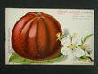 114537 / 0 - Picture Postcards / Theme / Pets, Countryside, Outdoor