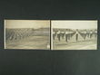 115448 / 0 - Picture Postcards / Theme / Sokol