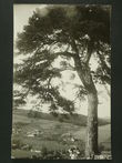 116799 / 0 - Picture Postcards / Topography / Czech republic / District of Žďár nad Sázavou