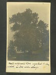 116837 / 0 - Picture Postcards / Topography / Czech republic / District of Hradec Králové