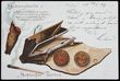 118365 / 0 - Picture Postcards / Theme / Heraldry, Coins in Card, Stamps in Cards...