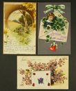125544 / 0 - Picture Postcards / Theme / Congratulatory