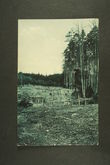 125645 / 0 - Picture Postcards / Topography / Czech republic / District of Rychnov nad Kněžnou