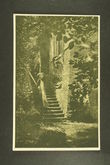 125749 / 0 - Picture Postcards / Theme / Famous Photographers