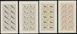 127584 / 0 - Philately / Czechoslovakia 1945-92 / Blocks of Ten