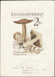 136368 / 0 - Philately / Czechoslovakia 1945-92 / Design of Stamps