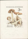 136370 / 0 - Philately / Czechoslovakia 1945-92 / Design of Stamps