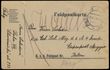 137303 / 5 - Philately / Czechoslovakia 1918-39 / Forerunners 1918-19
