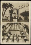 24659 / 3461 - Picture Postcards / Topography / Czech republic / Brno - The Centre