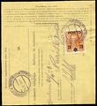 28710 / 6 - Philately / Czechoslovakia 1918-39 / Forerunners 1918-19