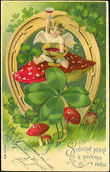 35797 / 4107 - Picture Postcards / Theme / Congratulatory