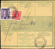 35941 / 8 - Philately / Czechoslovakia 1918-39 / Forerunners 1918-19