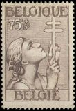 36224 / 2686 - Philately / Europe / Belgium