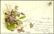 39659 / 0 - Picture Postcards / Theme / Pets, Countryside, Outdoor