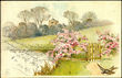39690 / 0 - Picture Postcards / Theme / Congratulatory