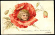 43585 / 0 - Picture Postcards / Theme / Personification, creatures, cartoons