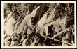 43636 / 0 - Picture Postcards / Theme / Scouting