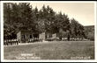 47286 / 0 - Picture Postcards / Theme / Scouting
