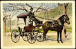47653 / 0 - Picture Postcards / Theme / Cars, Motorcycles, Wains