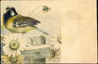 47675 / 0 - Picture Postcards / Theme / Pets, Countryside, Outdoor
