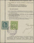 49588 / 1 - Philately / Czechoslovakia 1918-39 / Forerunners 1918-19