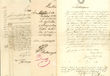 52454 / 3517 - Fisk�ln� ceniny