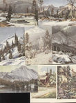 79364 / 427 - Philately / Postal Stationery CZE 1945-92 / Picture Cards with Postmark