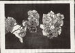 79598 / 760 - Prints, Art