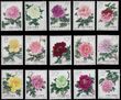 81656 / 676 - Philately / Asia