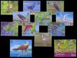 82116 / 2983 - Philately / Australia, Oceania and Antarctica