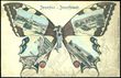 83608 / 2866 - Picture Postcards / Topography / Czech republic / District of Náchod
