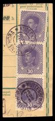 88710 / 1 - Philately / Czechoslovakia 1918-39 / Forerunners 1918-19