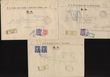 94006 / 6 - Philately / Czechoslovakia 1918-39 / Forerunners 1918-19