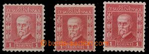 24172 - 1925 T. G. Masaryk 3 pcs of Pof.201, wmk 7, 8, mint never h