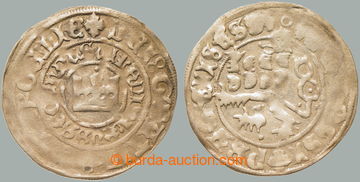 256627 - 1500-1516 Vladislav II. Jagellonský (1471-1516), pražský