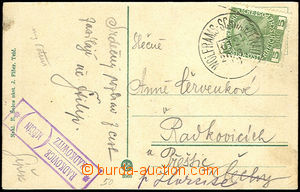 32937 - 1913 postcard with bilingual postal agency pmk RADKOVICE (M