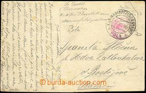 33399 - 1916 postcard sent to Moravia with red round postmark Seeflu