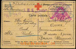 35134 - 1917 1917 S.M.Schiff TEODO circular violet + line cnl. on re