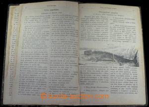 35585 - 1868 Šotek Archiv rozmaru and vtipu, part the first, B.Tře
