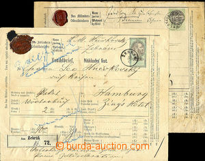35613 - 1873-76 2 pcs of freight letters for railroad - Carriage not