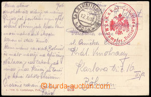 36489 - 1916 S.M.S. Dampfer Dolfin, oval red postmark with eagle, CD