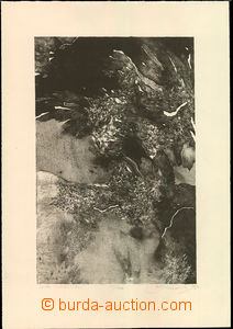 45347 - 1968 BRUNOVSKÝ Albín Léda with labuťou, 37/200, tečko