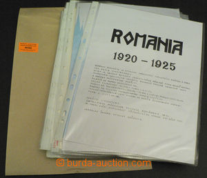 49202 - 1920-25 RUMANIA specializovaná sbírka výplatní emise Mi