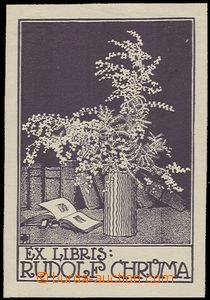 59344 - 1911 ŠTÁFL Otakar (1884–1945): exlibris Rudolf Chrůma,