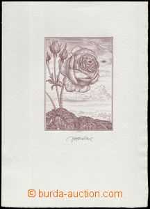 66786 - 199? HERČÍK Joseph: graphic sheet (rose), siderography on